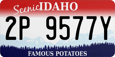 ID license plate 2P9577Y