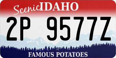 ID license plate 2P9577Z