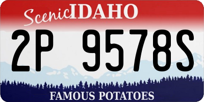 ID license plate 2P9578S