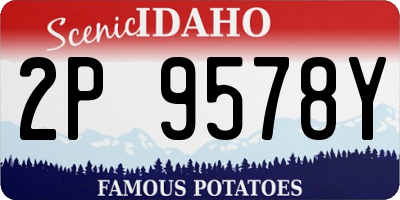 ID license plate 2P9578Y
