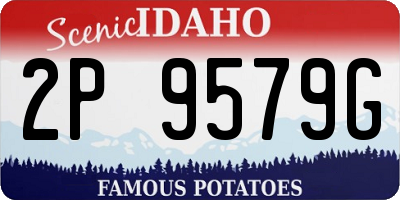 ID license plate 2P9579G