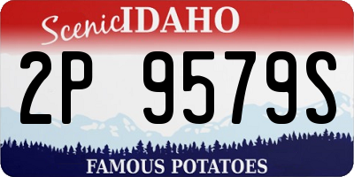 ID license plate 2P9579S