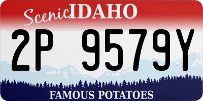 ID license plate 2P9579Y