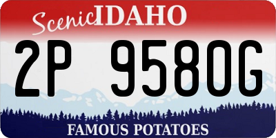 ID license plate 2P9580G