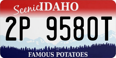 ID license plate 2P9580T