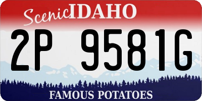 ID license plate 2P9581G