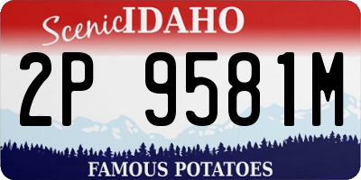 ID license plate 2P9581M