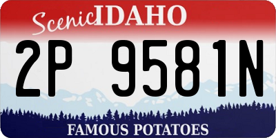 ID license plate 2P9581N