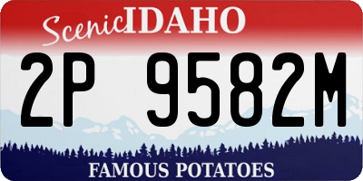 ID license plate 2P9582M