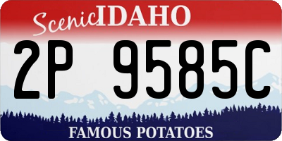 ID license plate 2P9585C