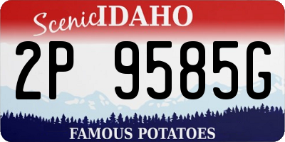 ID license plate 2P9585G