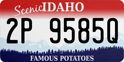 ID license plate 2P9585Q