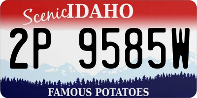 ID license plate 2P9585W