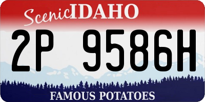 ID license plate 2P9586H