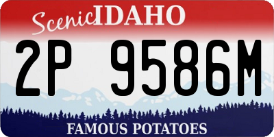 ID license plate 2P9586M