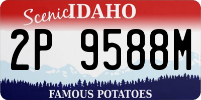 ID license plate 2P9588M