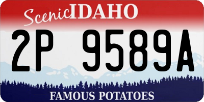 ID license plate 2P9589A