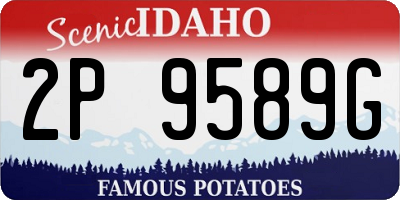 ID license plate 2P9589G