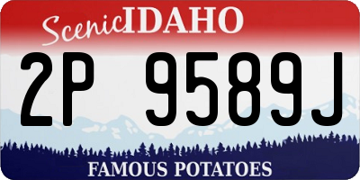 ID license plate 2P9589J