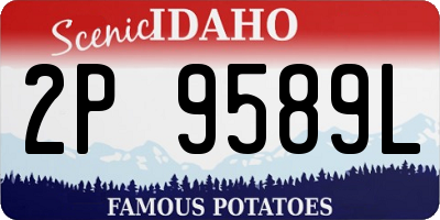 ID license plate 2P9589L