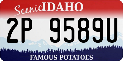 ID license plate 2P9589U