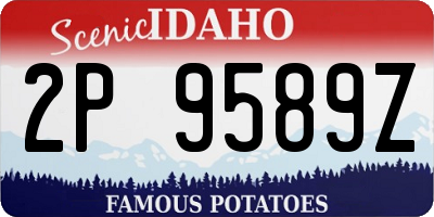 ID license plate 2P9589Z