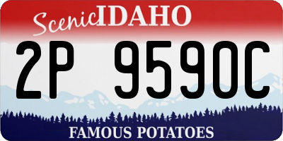 ID license plate 2P9590C