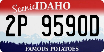 ID license plate 2P9590D