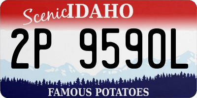 ID license plate 2P9590L