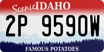 ID license plate 2P9590W