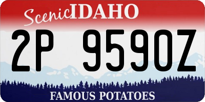 ID license plate 2P9590Z