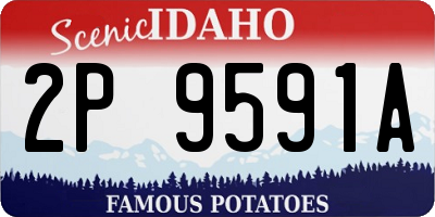ID license plate 2P9591A