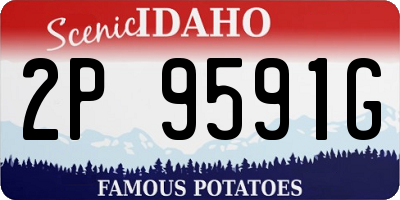 ID license plate 2P9591G