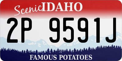 ID license plate 2P9591J