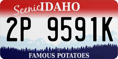 ID license plate 2P9591K