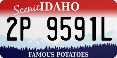 ID license plate 2P9591L