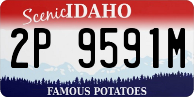 ID license plate 2P9591M