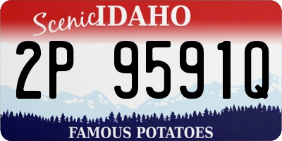 ID license plate 2P9591Q