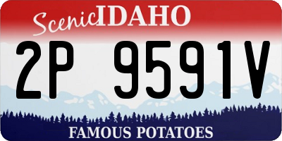 ID license plate 2P9591V