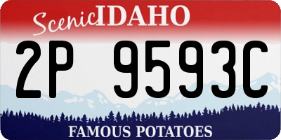 ID license plate 2P9593C
