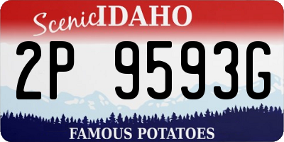 ID license plate 2P9593G