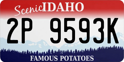 ID license plate 2P9593K