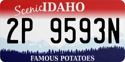 ID license plate 2P9593N
