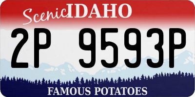 ID license plate 2P9593P