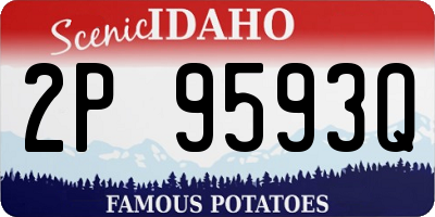 ID license plate 2P9593Q