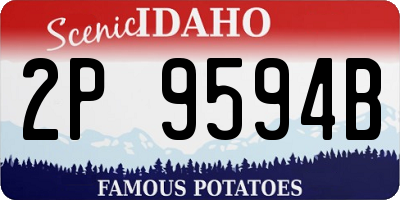 ID license plate 2P9594B