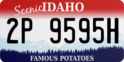 ID license plate 2P9595H