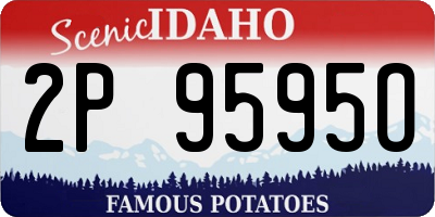 ID license plate 2P9595O