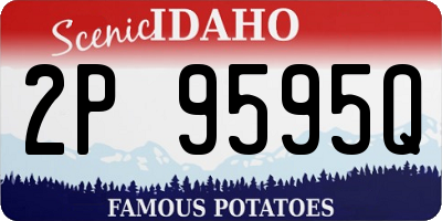 ID license plate 2P9595Q
