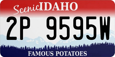ID license plate 2P9595W